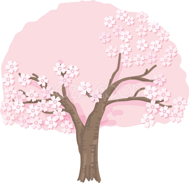 枝分かれした桜の木のイラスト