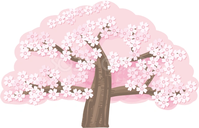 低く広がる桜の木のイラスト