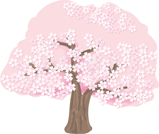 丸い樹冠の桜の木のイラスト