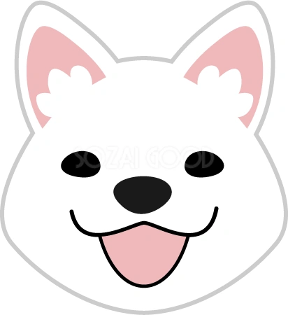 舌を出した白柴のイラスト