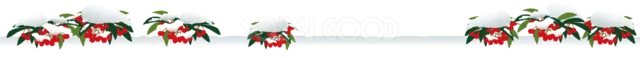 赤い実と冬の葉を雪の上に飾ったボタニカルライン（背景透過PNG）