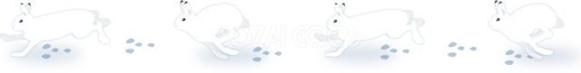 雪の上を跳ねる白いうさぎと足跡の冬ライン（背景透過PNG）