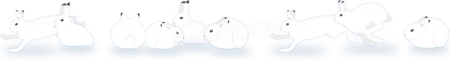 白い雪うさぎが集まる可愛い冬のライン（背景透過PNG）