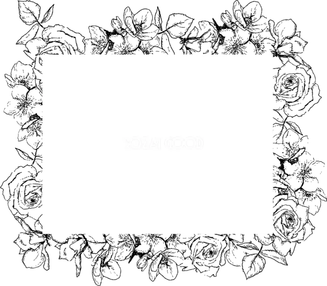 バラと小花の線画を左右にたっぷり飾ったモノクロ横型フレーム（背景透過PNG）