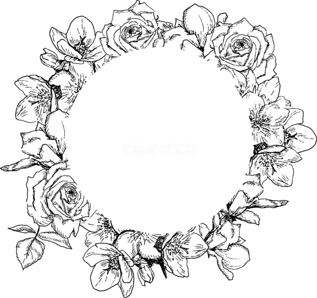 バラと葉の線画を円形に並べた上品なモノクロフラワーフレーム（背景透過PNG）