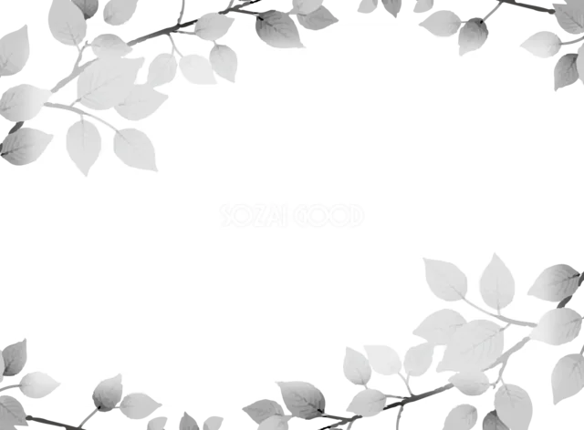 グレーの葉と細い枝を上下に飾った落ち着いた横型ボタニカルフレーム（背景透過PNG）