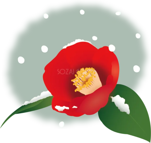 雪が降る淡いグリーンの背景と赤い椿を描いた冬の花イラスト（PNG）