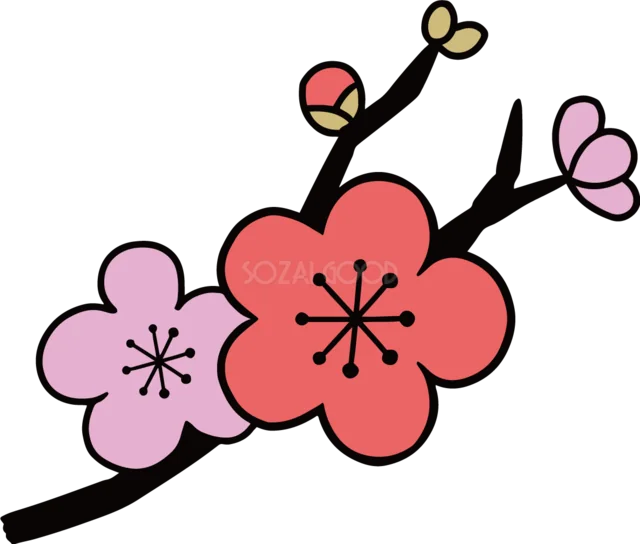赤とピンクの梅の花を描いたシンプルな枝イラスト（背景透過PNG）