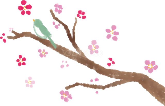小さな紅白の梅が咲く水彩の枝イラスト（背景透過PNG）