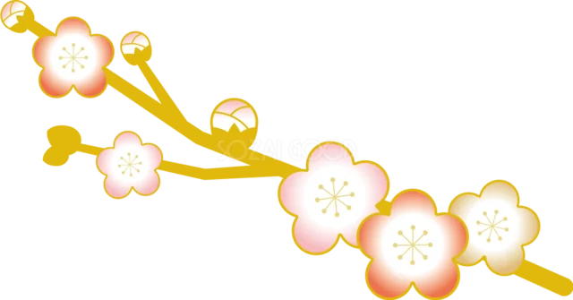金色の枝に紅白の梅が咲く和風イラスト（背景透過PNG）
