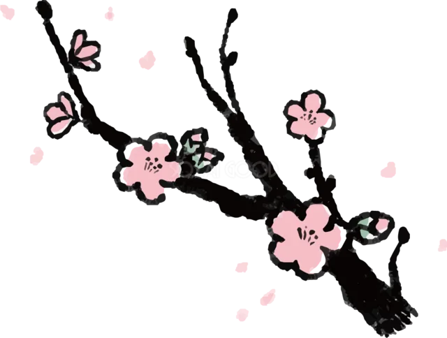 黒い墨の枝にピンクの梅が咲く和風イラスト（背景透過PNG）