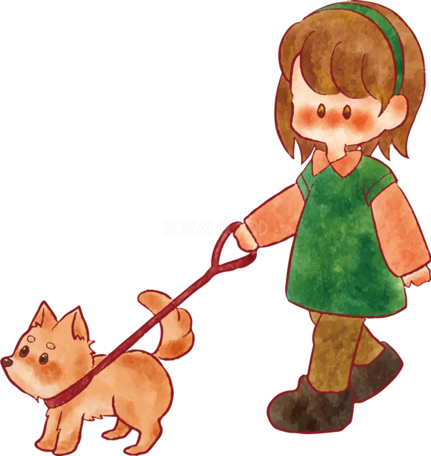 柴犬をリードで散歩する女の子（背景透過PNG）