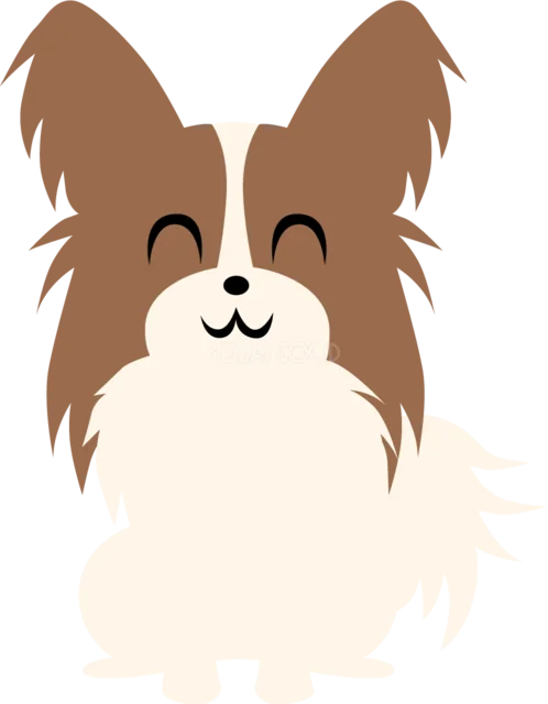 大きな耳と長い毛がかわいいパピヨン（背景透過PNG）