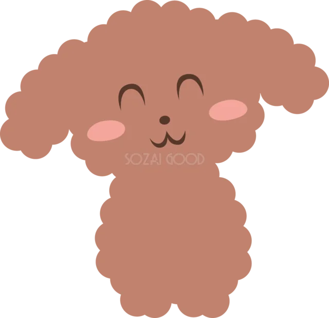 茶色の巻き毛がかわいいトイプードル（背景透過PNG）