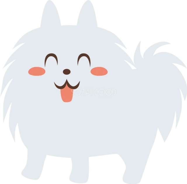 白くてふわふわの毛がかわいいサモエド（背景透過PNG）