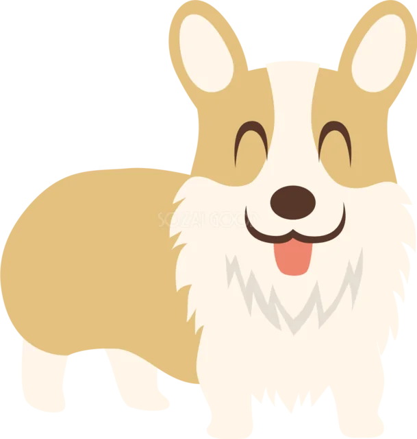 短い足と大きな耳がかわいいウェルシュコーギー（背景透過PNG）