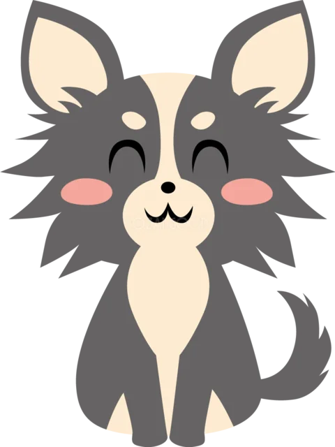 大きな耳と長い毛がかわいいチワワ（背景透過PNG）