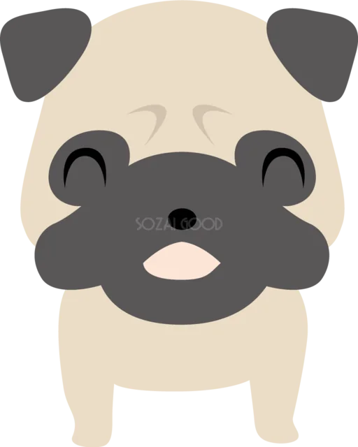 黒い顔と垂れ耳がかわいいパグ（背景透過PNG）
