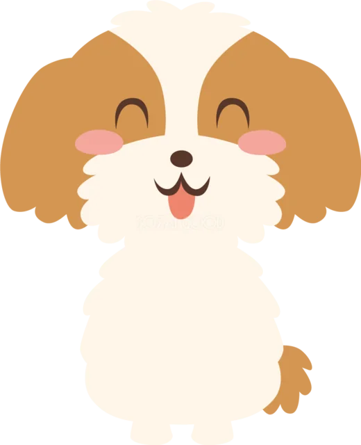 ふわふわの毛と垂れ耳がかわいいシーズー（背景透過PNG）