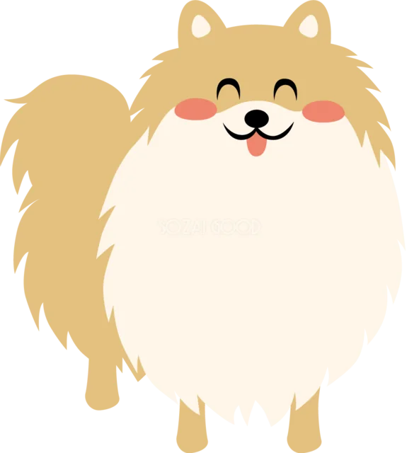 ふわふわのしっぽがかわいいポメラニアン（背景透過PNG）