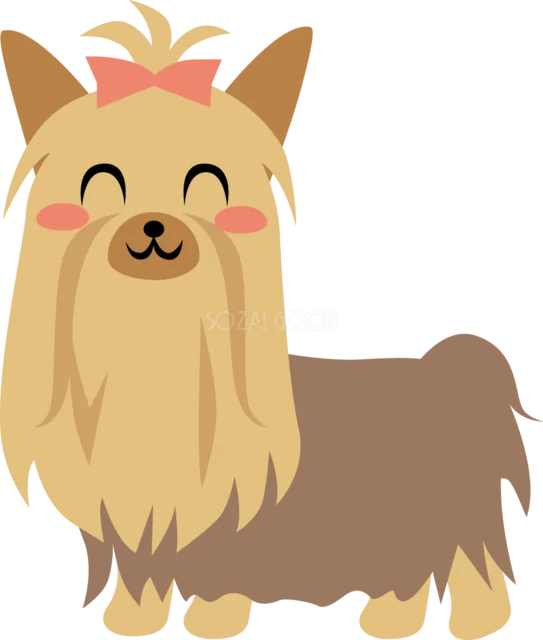 赤いリボンを付けたかわいいヨークシャーテリア（背景透過PNG）