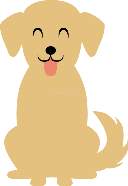 笑顔でお座りする黄色いラブラドールレトリバー（背景透過PNG）