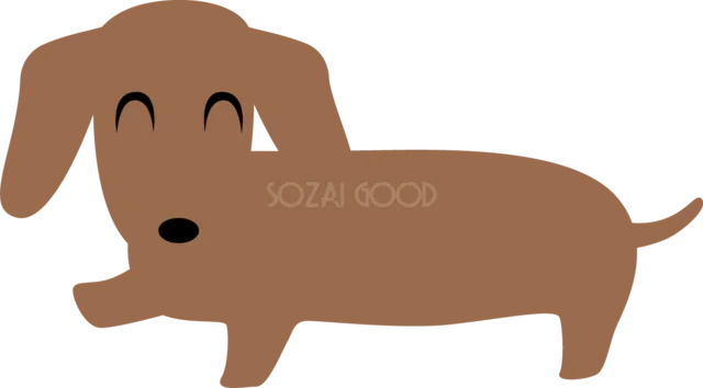 胴長の姿がかわいい茶色のダックスフンド（背景透過PNG）