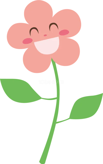 笑顔で咲くピンクの花（背景透過PNG）