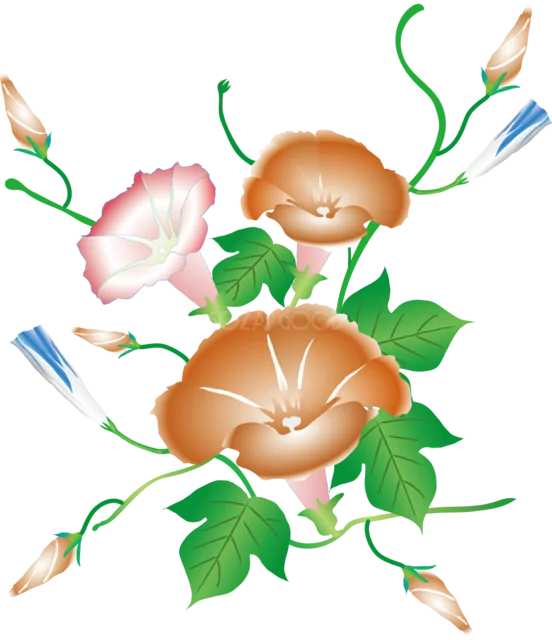 茶色とピンクの朝顔を組み合わせた花飾り（背景透過PNG）