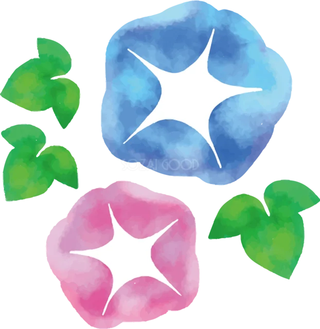 青とピンクの朝顔が並ぶ淡い水彩イラスト（背景透過PNG）