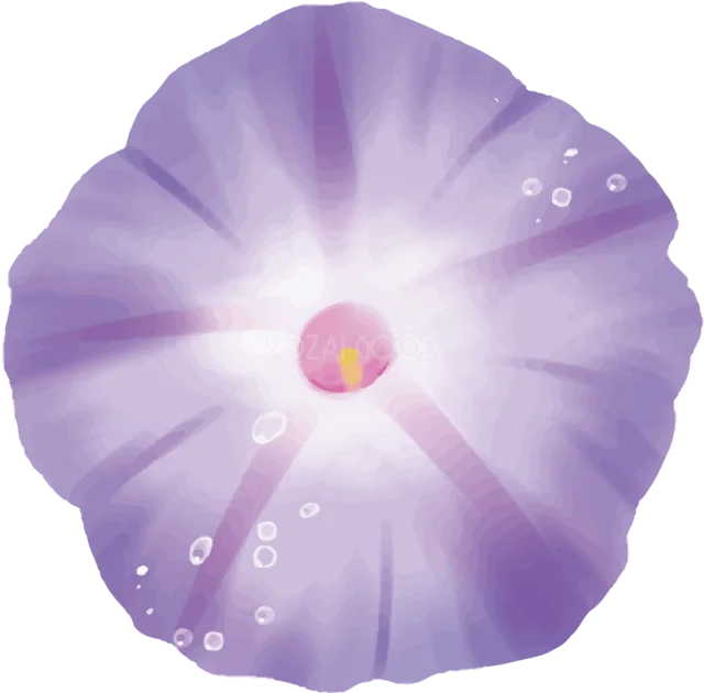 光と露をまとった紫の朝顔のリアルなイラスト（背景透過PNG）