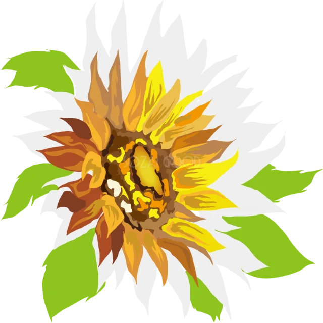 黄色と茶色で大胆に描いたひまわり（背景透過PNG）