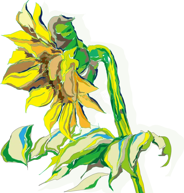 うつむいて咲く手描き風ひまわり（背景透過PNG）