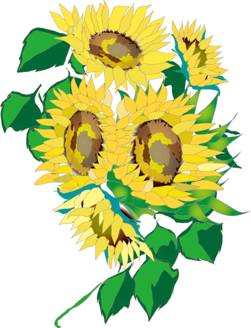 黄色いひまわりを束ねた夏の花束（背景透過PNG）