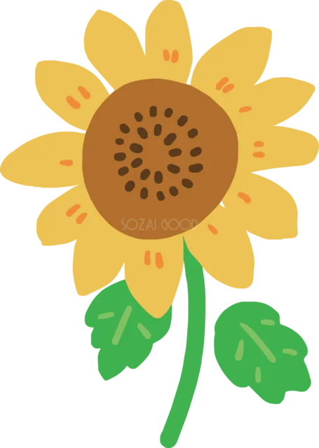 黄色い花と緑の葉を描いたシンプルなひまわり（背景透過PNG）