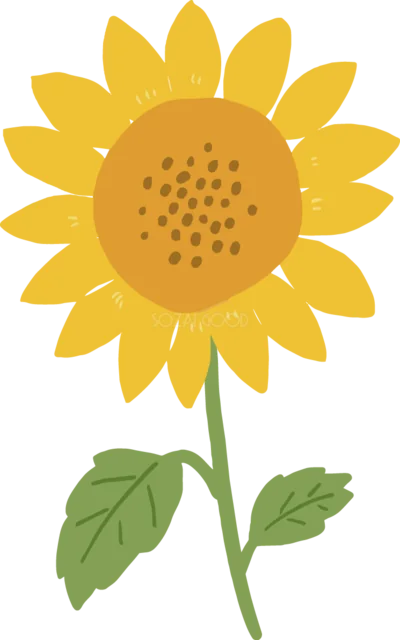 細い茎と2枚の葉がある夏のひまわりイラスト（背景透過PNG）