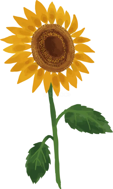 絵の具の筆致で描いた一輪のひまわり（背景透過PNG）