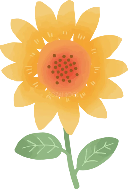 柔らかなパステルで描いたひまわりと2枚の葉（背景透過PNG）