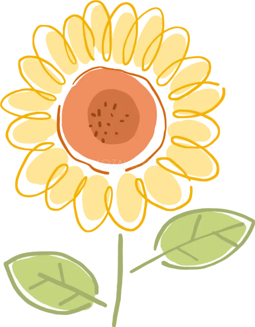 オレンジの中心が印象的なひまわり線画（背景透過PNG）