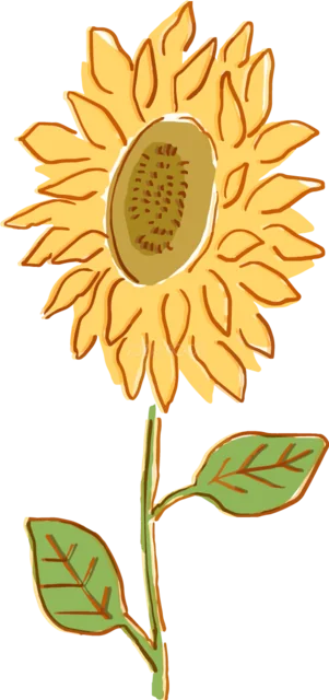 オレンジの輪郭で描いたひまわりと葉のイラスト（背景透過PNG）