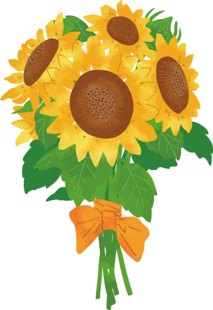 オレンジのリボンで束ねたひまわりの花束（背景透過PNG）