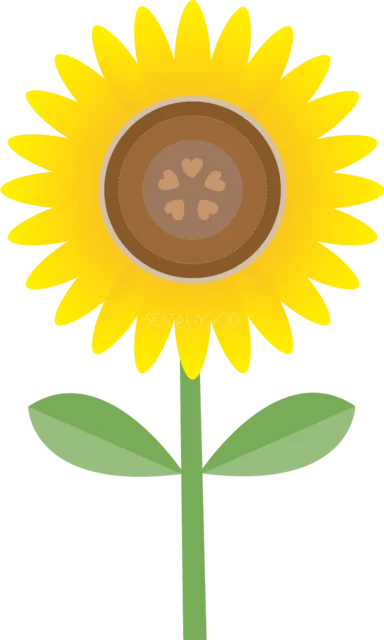 ボタンのような花芯の一輪ひまわり（背景透過PNG）