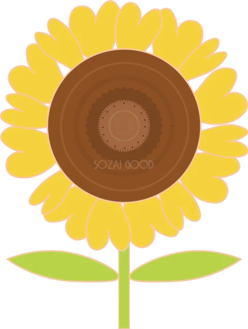 大きな丸い花芯のシンプルなひまわり（背景透過PNG）