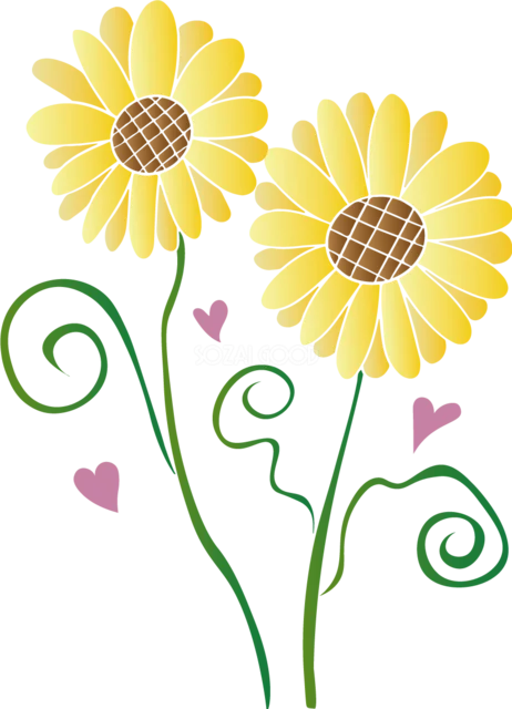 ハートと渦巻きの茎で描いたひまわり2輪（背景透過PNG）