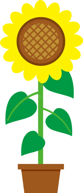 植木鉢に咲く背の高いひまわりのシンプルな夏イラスト（背景透過PNG）