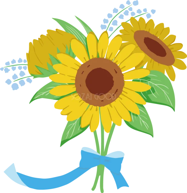 青いリボンで束ねたひまわりの花束イラスト（背景透過PNG）