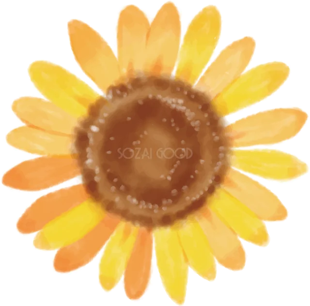 オレンジと黄色のにじみで描いた水彩ひまわりイラスト（背景透過PNG）