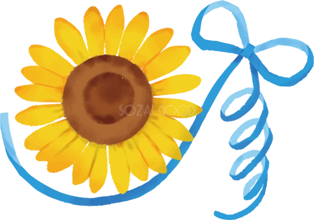 青いリボンを添えた水彩風ひまわりの夏イラスト（背景透過PNG）