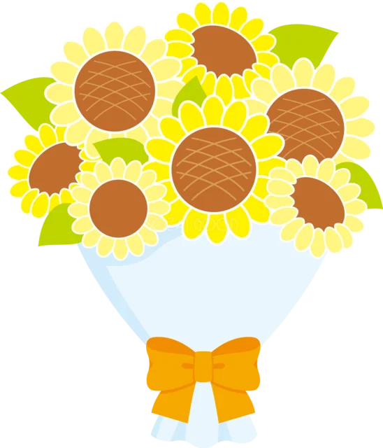 たくさんのひまわりを白い花束にまとめた夏の花イラスト（背景透過PNG）