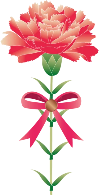 赤いリボンを結んだ一輪のカーネーション（背景透過PNG）